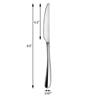 
                    
                      Dinner knife with a 4.2-inch blade and 9.5-inch total length, polished stainless steel handle and mirror finish.
                    
                  